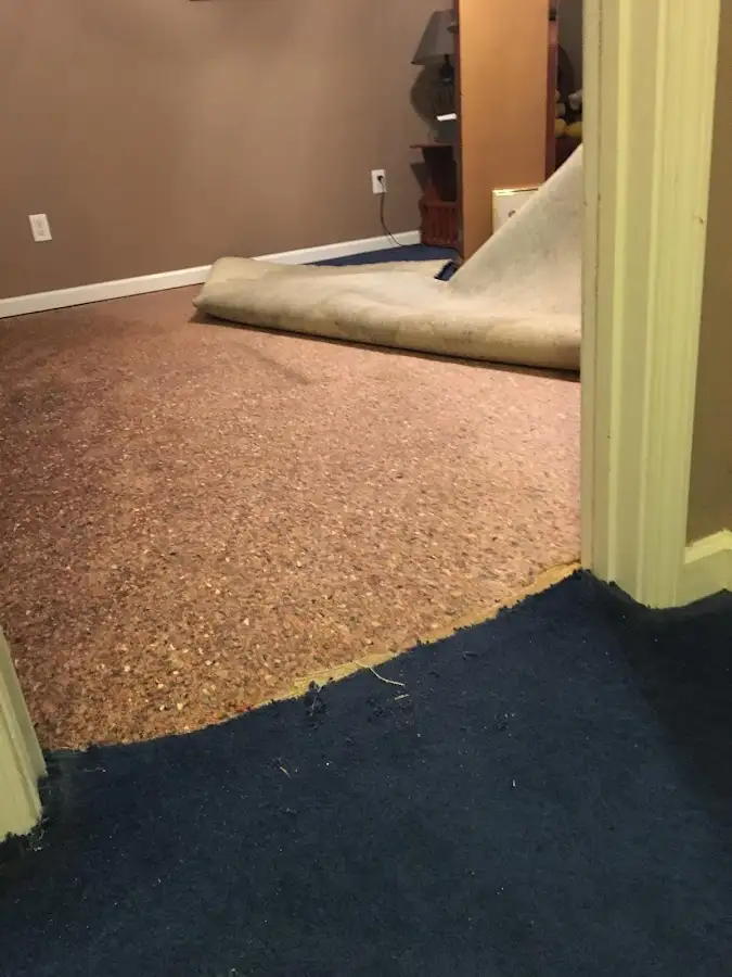 Carpet pad removal revealing water damage during Drying & Dehumidification in Los Gatos