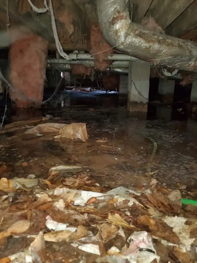 Crawl space flood assessment for Leak Detection & Repair in Los Gatos